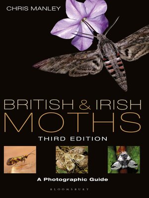 cover image of British and Irish Moths